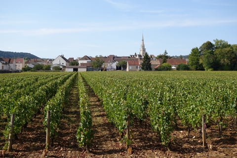 Domaine des Petits Champs Lins_1