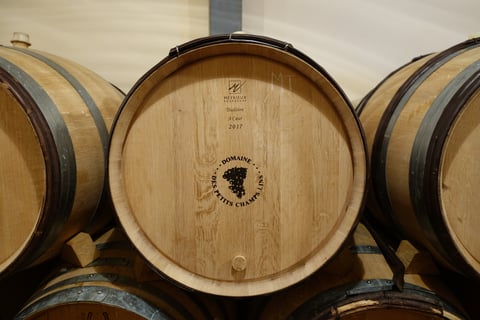 Domaine des Petits Champs Lins_10