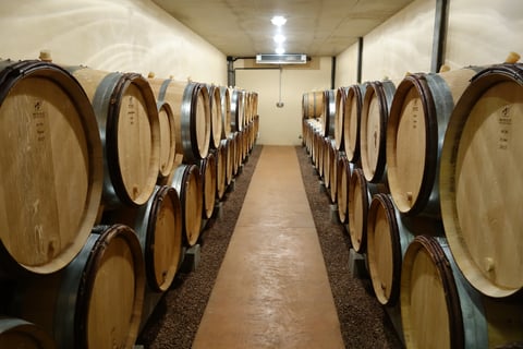 Domaine des Petits Champs Lins_9