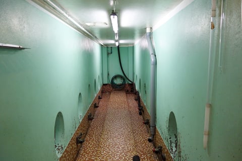 Domaine du Moulin Camus_6