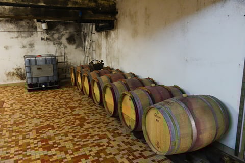 Domaine du Moulin Camus_9