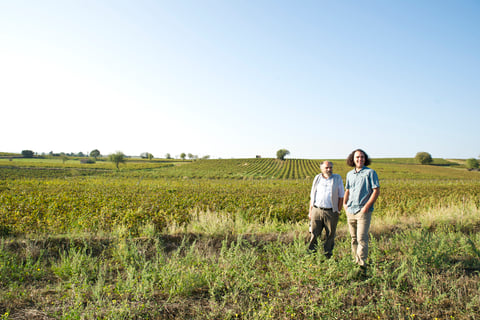 Domaine la Colombette_1