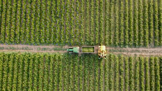 Domaine la Colombette_5