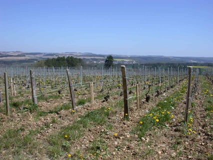 Dufour & Françoise Martinot_2