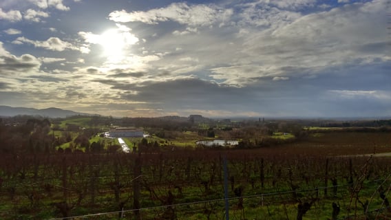 Eric et Bérengère Thill_2