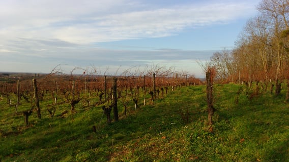 Eric et Bérengère Thill_3