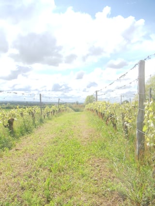 Eric et Bérengère Thill_5