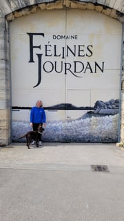 Félines Jourdan_1