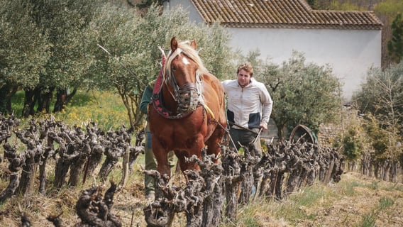 Ferme des Arnaud (2)