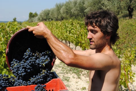 Ferme des Arnaud (3)