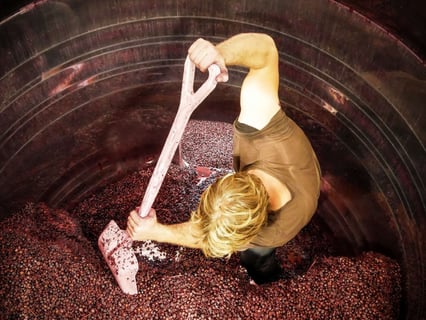 Ferme des Arnaud (5)