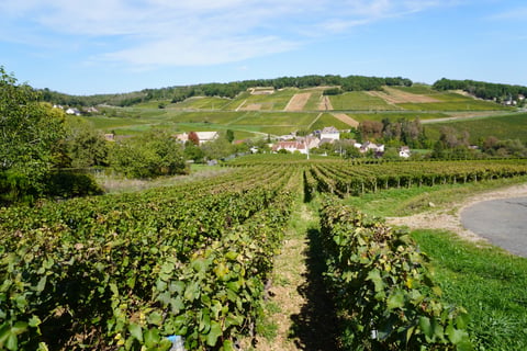 Feuillat-Juillot_2