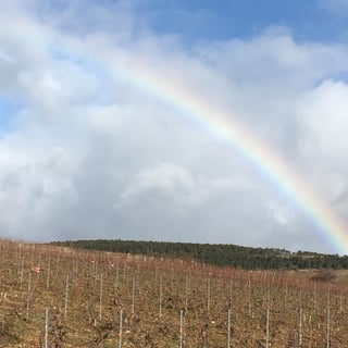 François Gaunoux 12