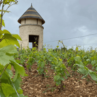 François Gaunoux 17