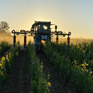 François Gaunoux 18