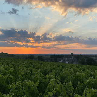 François Gaunoux 20