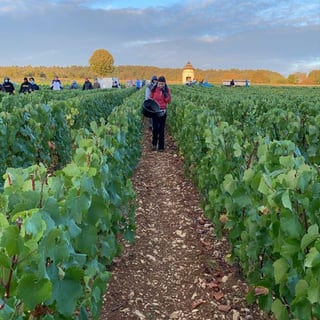 François Gaunoux 29