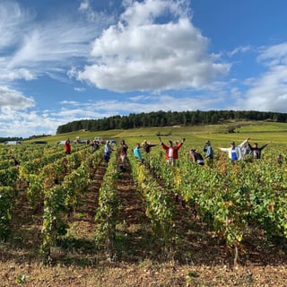 François Gaunoux 30