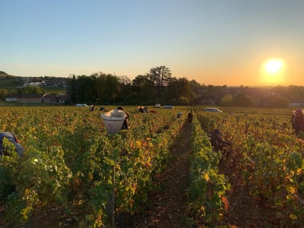 François Gaunoux 31