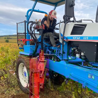 François Gaunoux 39