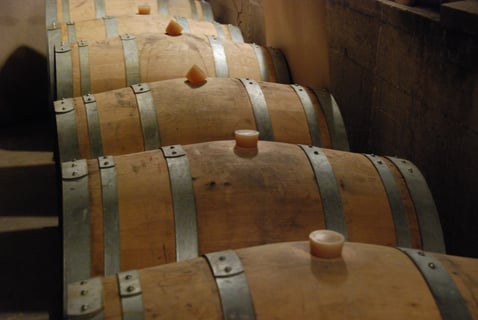 Françoise Bedel _10