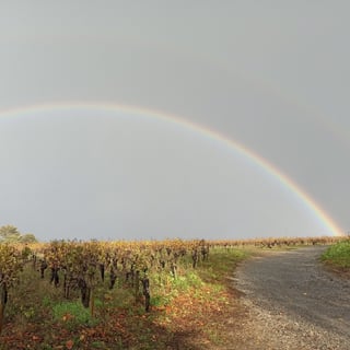 Günther Chéreau_12