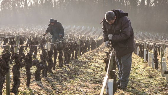 Günther Chéreau_15