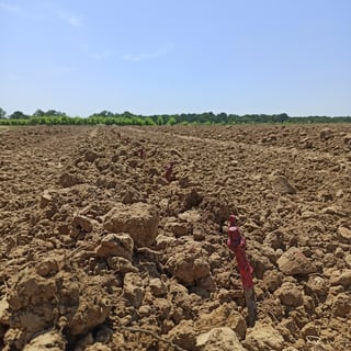 Günther Chéreau_18