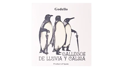 Gallegos de Lluvia y Calma Godello-1