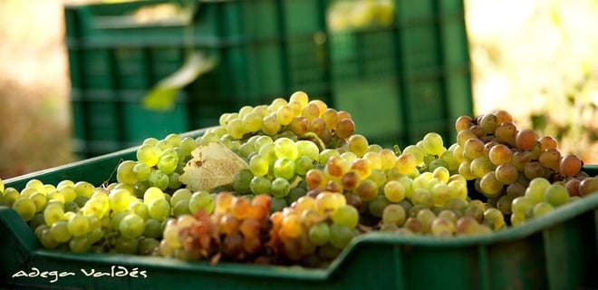 Gallegos de Lluvia y Calma_11