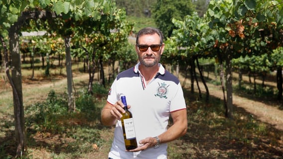 Gallegos de Lluvia y Calma_2