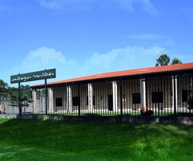 Gallegos de Lluvia y Calma_4