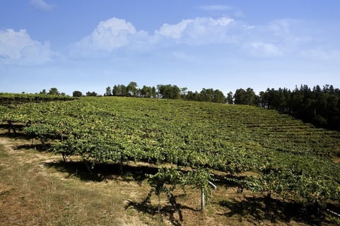 Gallegos de Lluvia y Calma_6