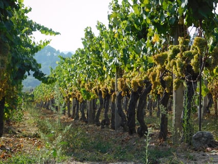 Gallegos de Lluvia y Calma_8