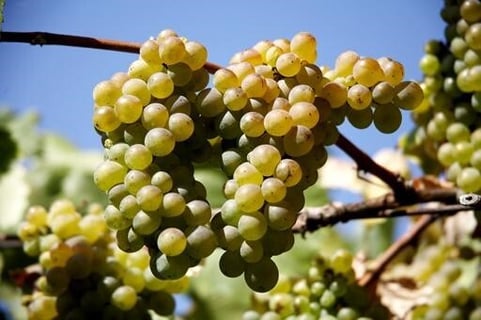 Gallegos de Lluvia y Calma_9