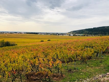 Gavignet-Béthanie (4)