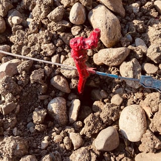 Guillaume Malafosse_10