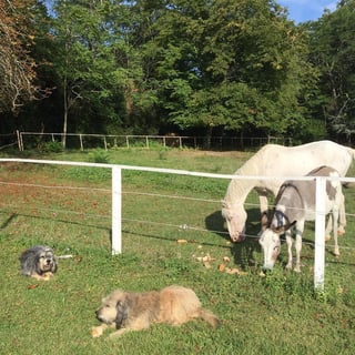 Guillaume Malafosse_5