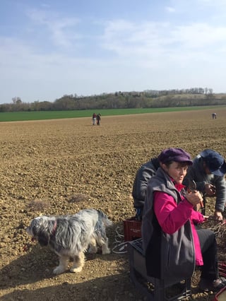 Guillaume Malafosse_5