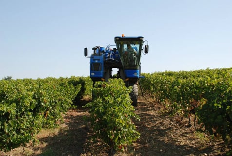 Guillaume Malafosse_6