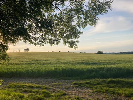 Guillaume Malafosse_8