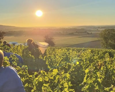 Guillerault-Fargette_5