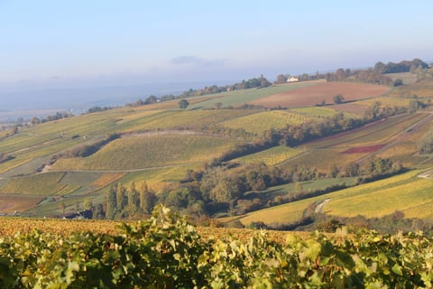 Guillerault-Fargette_6