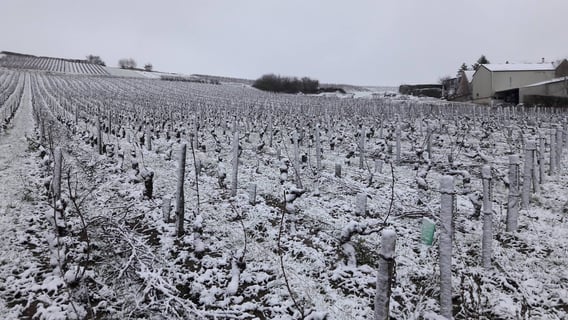 Guillerault-Fargette_7