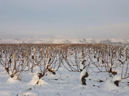 Guillerault-Fargette_8