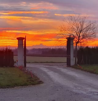 Jérôme Patriarche_1