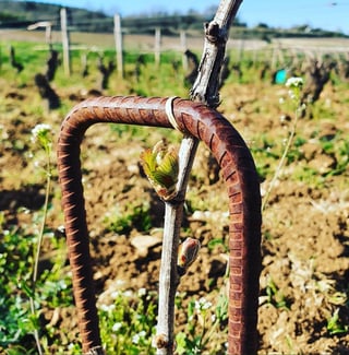 Jérôme Patriarche_10