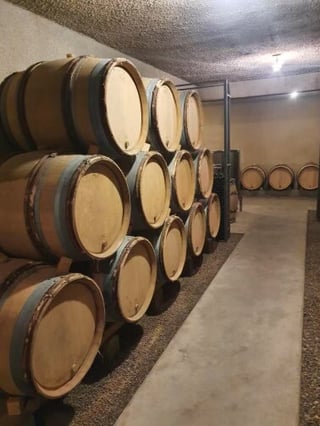 Jérôme Patriarche_15