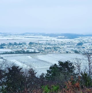 Jérôme Patriarche_2
