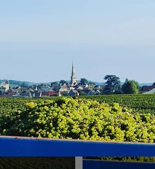 Jérôme Patriarche_3